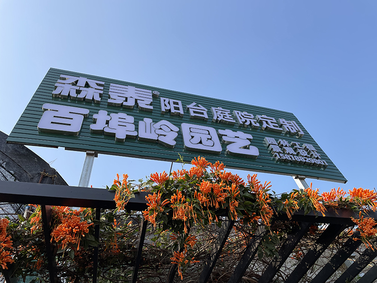 澳门原料网论坛